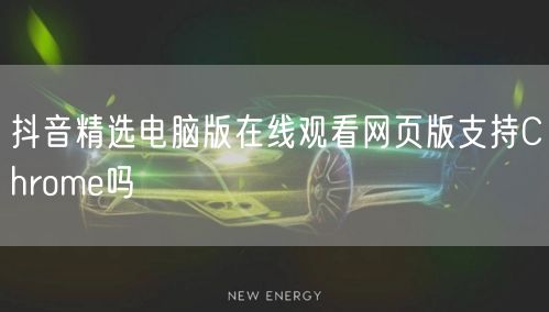 抖音精选电脑版在线观看网页版支持Chrome吗